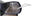 Side Mirror Etching Services